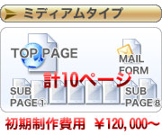 �~�f�B�A���^�C�v